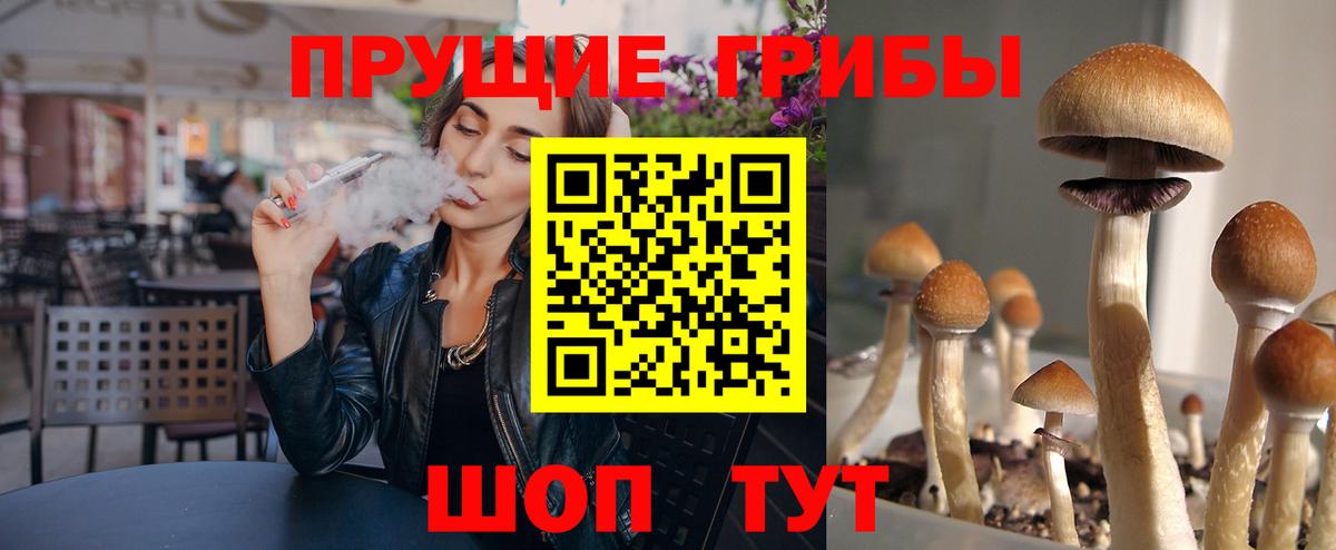 Галлюциногенные грибы MAGIC MUSHROOMS  Вход с VPN  Боровичи 
