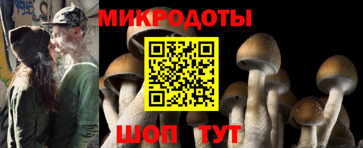 Галлюциногенные грибы Magic Shrooms Боровичи